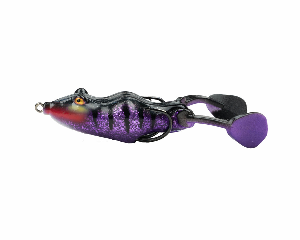 Snag Proof Zoo Kick Frog - Purple Burst