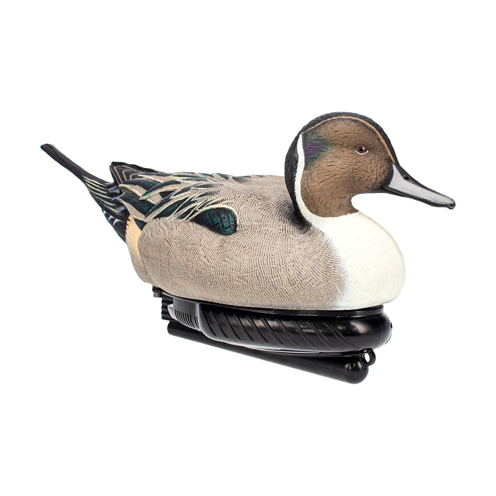 Avian-X Power Swimmer Pintail Drake